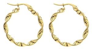 Steel Earrings Twisted 2.5cm