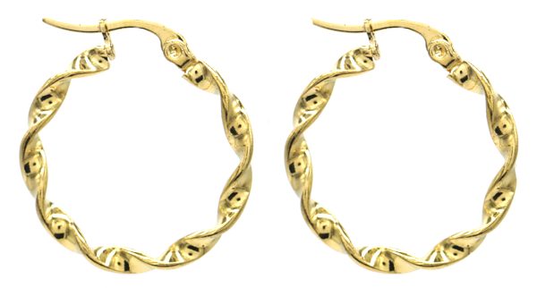 Steel Earrings Twisted 2.5cm