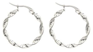 Steel Earrings Twisted 2.5cm