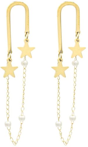Steel Earrings 4.5cm