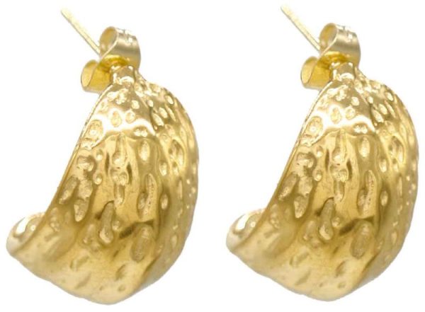 Steel Earrings 2.5cm