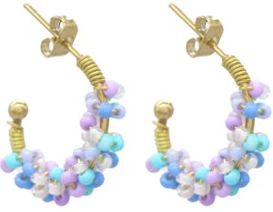 Steel Earrings Glass beads