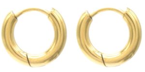Steel Earrings 12mm